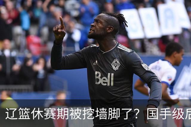 辽篮休赛期被挖墙脚了？国手级后卫恐被交易：变相逼着赵继伟走人