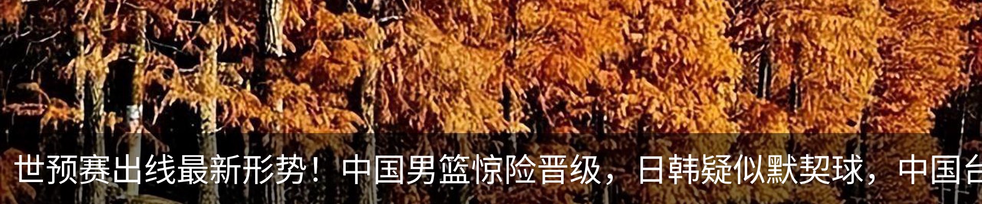 最新动态