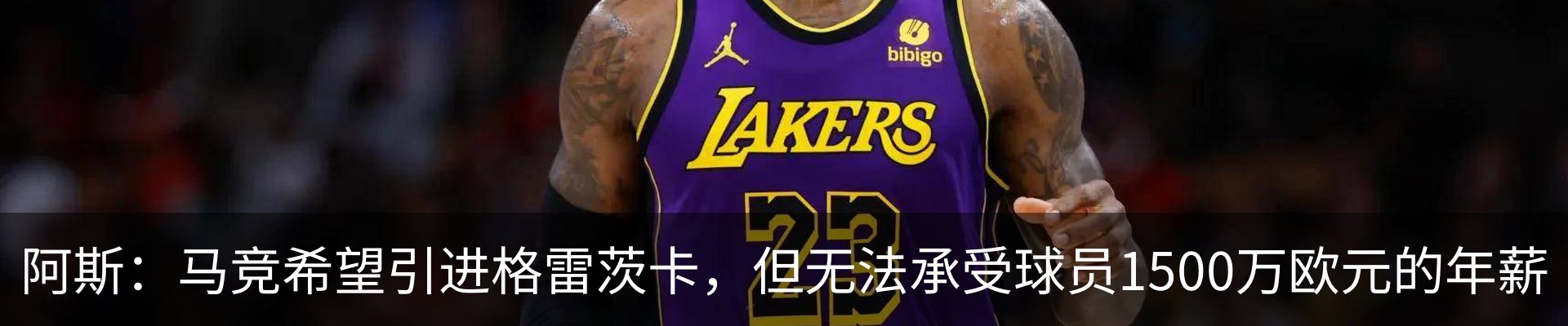 最新动态